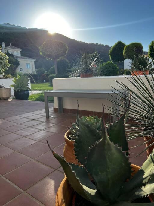 Ruim Appartement, Zonnig Terras, Alhaurin Golf! Alhaurín el Grande Εξωτερικό φωτογραφία